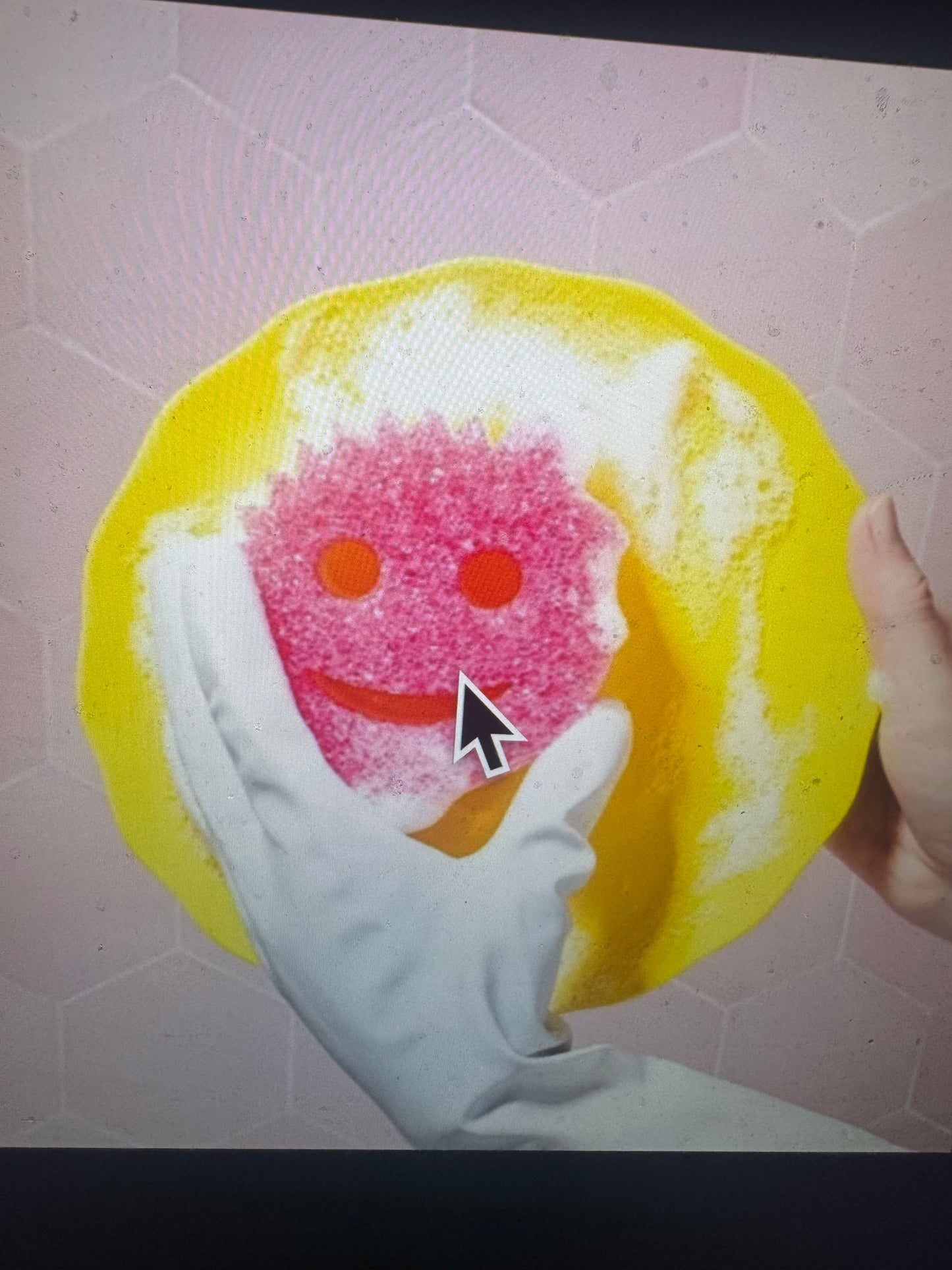 Sponges & Scouring Pads